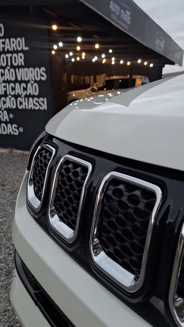 Grade dianteira impecável após detalhamento